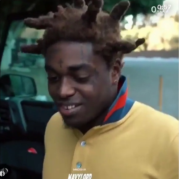 Meet your Posher, Bee - Picture 1 of 1